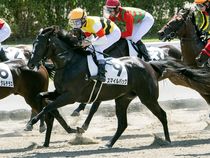 ����å��ǳ��������ɽ�����ޤ�