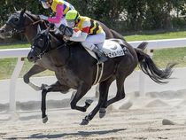 ����å��ǳ��������ɽ�����ޤ�