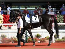 ����å��ǳ��������ɽ�����ޤ�