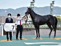 ����å��ǳ��������ɽ�����ޤ�