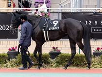 ����å��ǳ��������ɽ�����ޤ�