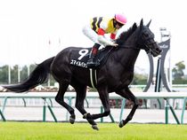 ����å��ǳ��������ɽ�����ޤ�