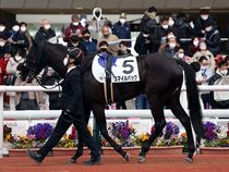 ����å��ǳ��������ɽ�����ޤ�