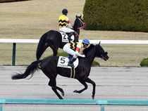 ����å��ǳ��������ɽ�����ޤ�