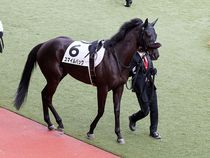 ����å��ǳ��������ɽ�����ޤ�