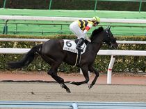 ����å��ǳ��������ɽ�����ޤ�