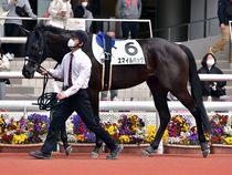 ����å��ǳ��������ɽ�����ޤ�