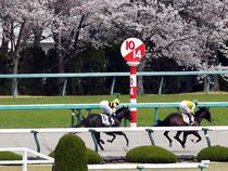 ����å��ǳ��������ɽ�����ޤ�