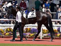 ����å��ǳ��������ɽ�����ޤ�