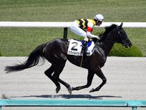 ����å��ǳ��������ɽ�����ޤ�