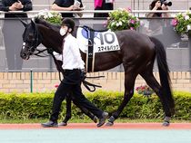 ����å��ǳ��������ɽ�����ޤ�