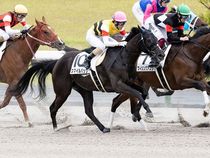 ����å��ǳ��������ɽ�����ޤ�