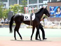 ����å��ǳ��������ɽ�����ޤ�