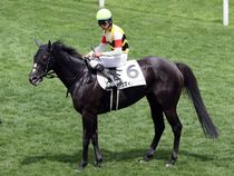 ����å��ǳ��������ɽ�����ޤ�