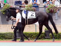 ����å��ǳ��������ɽ�����ޤ�