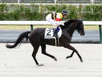 ����å��ǳ��������ɽ�����ޤ�