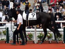 ����å��ǳ��������ɽ�����ޤ�