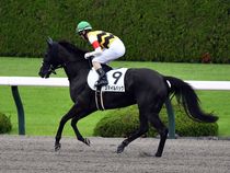 ����å��ǳ��������ɽ�����ޤ�