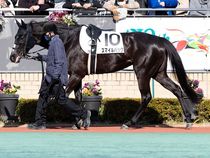 ����å��ǳ��������ɽ�����ޤ�