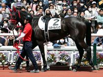 ����å��ǳ��������ɽ�����ޤ�