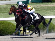 ����å��ǳ��������ɽ�����ޤ�