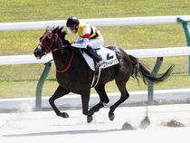 ����å��ǳ��������ɽ�����ޤ�