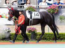 ����å��ǳ��������ɽ�����ޤ�