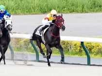 ����å��ǳ��������ɽ�����ޤ�