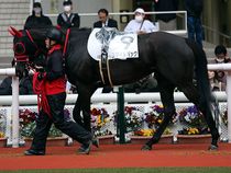 ����å��ǳ��������ɽ�����ޤ�