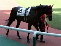 ����å��ǳ��������ɽ�����ޤ�