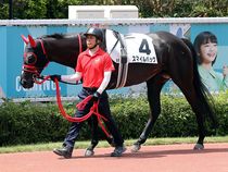 ����å��ǳ��������ɽ�����ޤ�