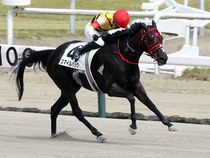 ����å��ǳ��������ɽ�����ޤ�