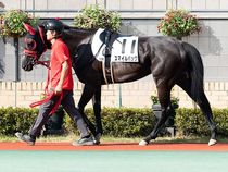 ����å��ǳ��������ɽ�����ޤ�