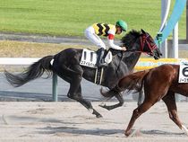 ����å��ǳ��������ɽ�����ޤ�