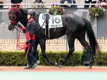 ����å��ǳ��������ɽ�����ޤ�