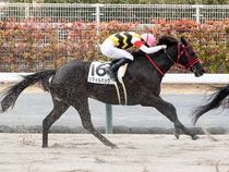 ����å��ǳ��������ɽ�����ޤ�