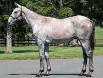 ����å��ǳ��������ɽ�����ޤ�