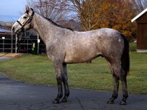 ����å��ǳ��������ɽ�����ޤ�