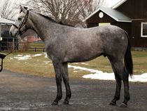 ����å��ǳ��������ɽ�����ޤ�