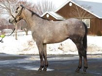 ����å��ǳ��������ɽ�����ޤ�