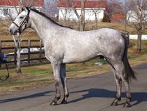 ����å��ǳ��������ɽ�����ޤ�