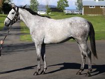 ����å��ǳ��������ɽ�����ޤ�