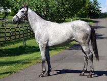 ����å��ǳ��������ɽ�����ޤ�