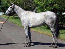 ����å��ǳ��������ɽ�����ޤ�