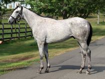 ����å��ǳ��������ɽ�����ޤ�