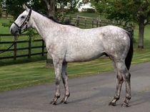 ����å��ǳ��������ɽ�����ޤ�