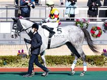 ����å��ǳ��������ɽ�����ޤ�