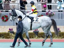 ����å��ǳ��������ɽ�����ޤ�