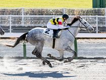 ����å��ǳ��������ɽ�����ޤ�