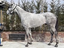 ����å��ǳ��������ɽ�����ޤ�